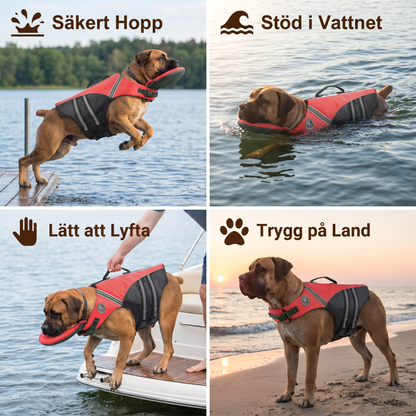 Säker Flytväst För Hund Med Räddningshandtag