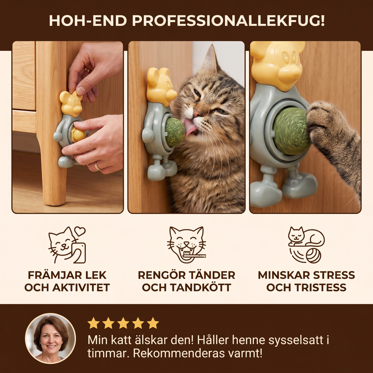 Kattmyntaboll Som Tuggleksak För Katter