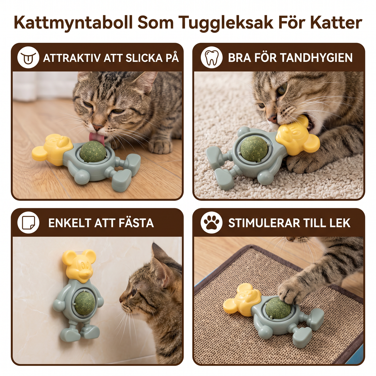 Kattmyntaboll Som Tuggleksak För Katter