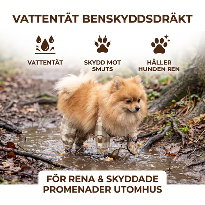 Vattentät Benskyddsdräkt För Hund – För Rena Och Skyddade Promenader Utomhus