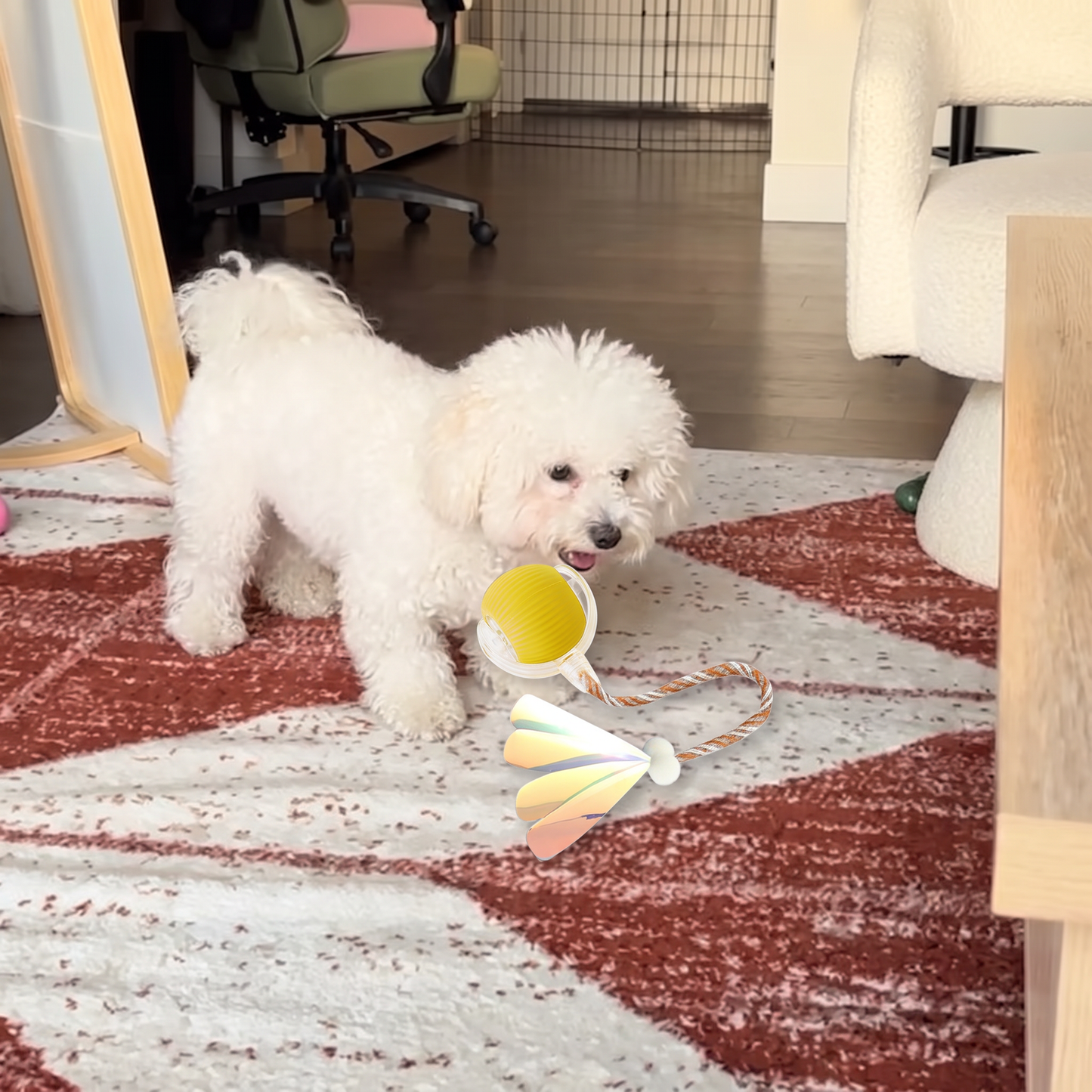 Förbättrad Smart Rullande Hundboll – Slitstark Interaktiv Leksak Med Nätstjärt