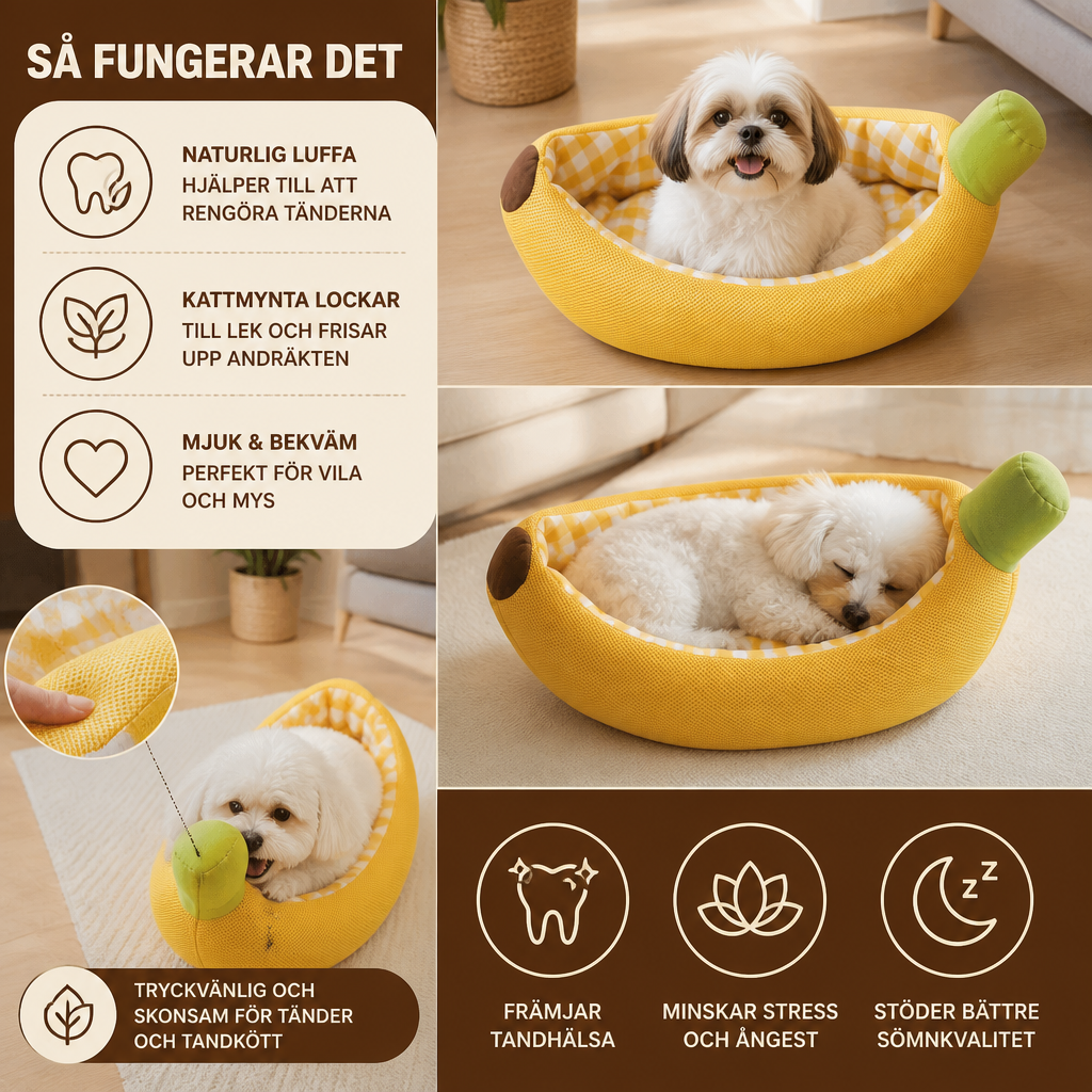 Tandrengörande Kattmynta-Tuggleksaker – Naturlig Luffa Tandvård & Leksaksset