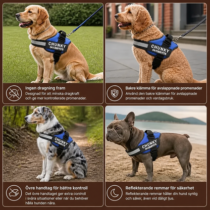 Personligt No-Pull-Hundsele för Enklare Promenader