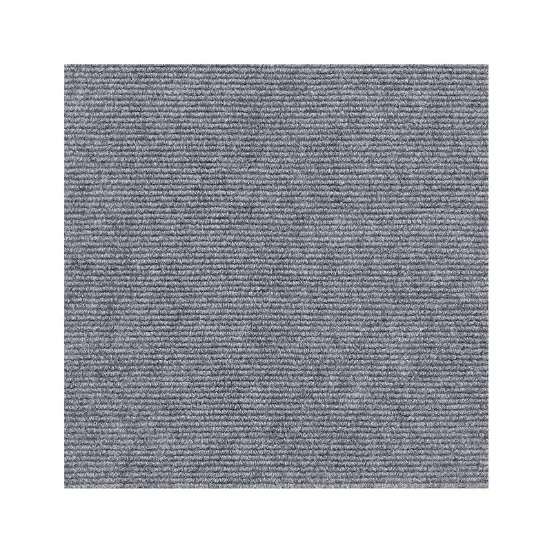 Universellt Skydd mot Kattklor