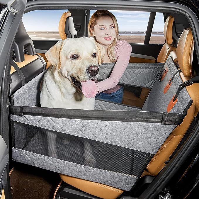 Hund Hårt Golv Enkel Stol