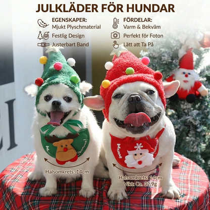 Julkläder för Hundar