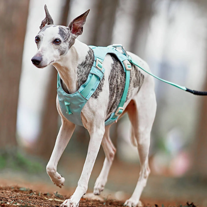 Anti-draghundsele med Justerbart Koppel
