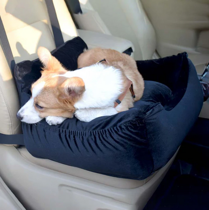 Bekvämt Bilsitsöverdrag för Husdjur – Transportbox för Hundar och Katter