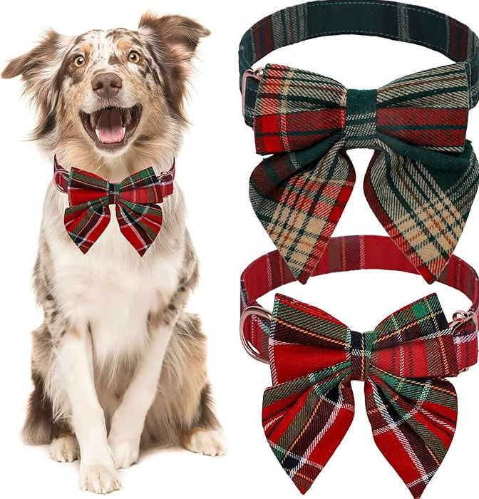 Färgad hundhalsband med rosett för jul och festliga tillfällen