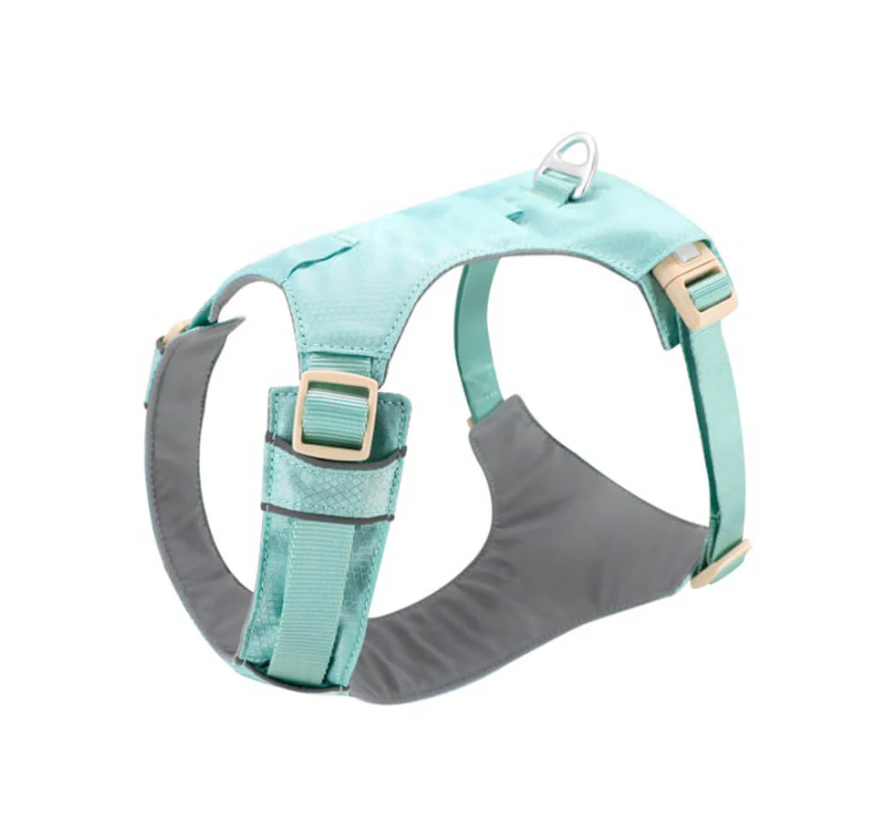 Anti-draghundsele med Justerbart Koppel