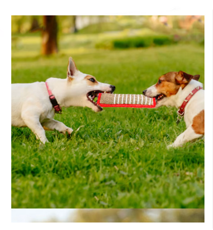 Bite Sausage för Hundar – Robust Juteträningsleksak med Handtag för Valpar och Vuxna Hundar