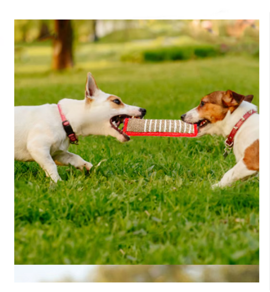 Bite Sausage för Hundar – Robust Juteträningsleksak med Handtag för Valpar och Vuxna Hundar