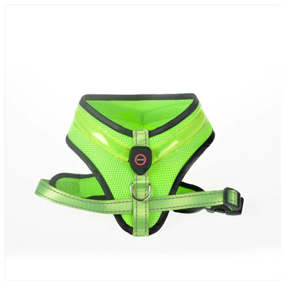 Bekväm Hundsele med Reflekterande Ränder – Andningsbar och Justerbar