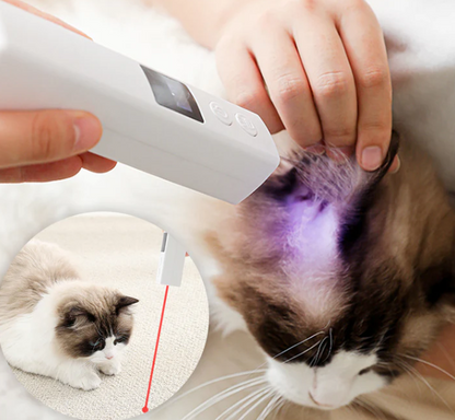 Digital Kloslip för Husdjur med LED-Display och Tyst Drift