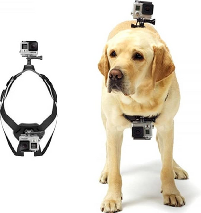 Actionkamerasele för hundar med hållare för bröst och rygg