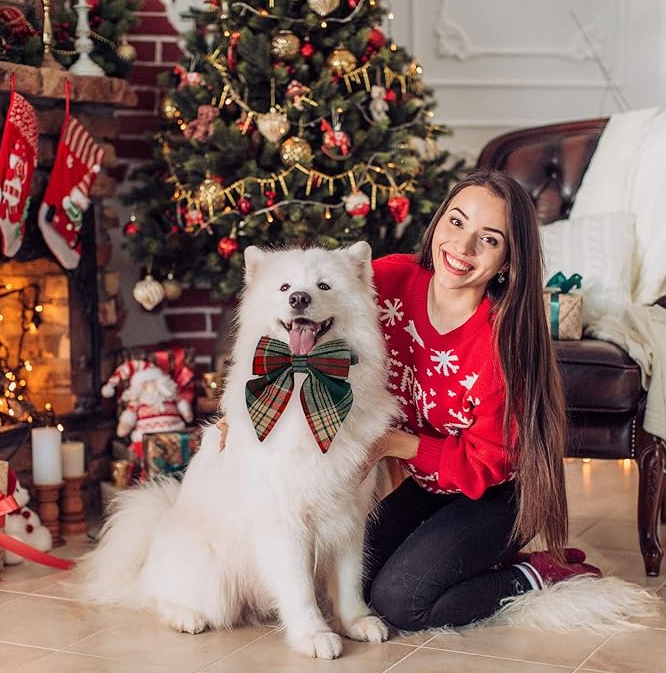 Färgad hundhalsband med rosett för jul och festliga tillfällen