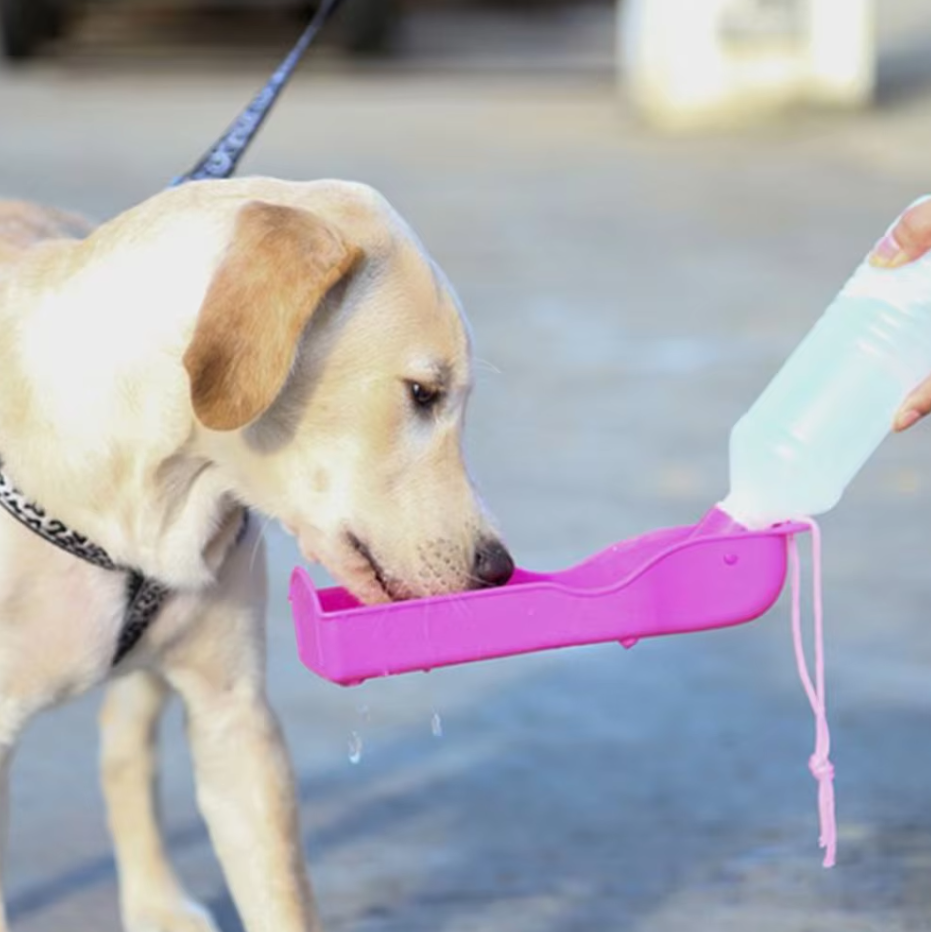 Draagbare Drinkfles voor Honden met Geïntegreerde Drinkbak - Ideaal voor op Reis