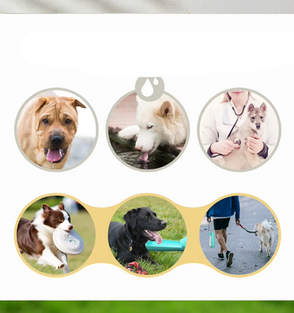 Bärbar Hundflaska – Läckfri Resedispenser med Integrerad Drickskål