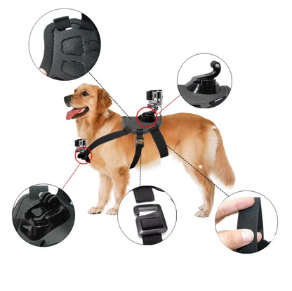 Actionkamerasele för hundar med hållare för bröst och rygg