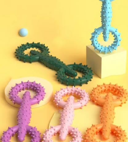 Bitring Hundleksak – Tandrengörande Tuggnöje