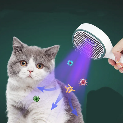 Elektrisk Hårborste - Snabb Utredande och Rakande Borste för Rakt Hår