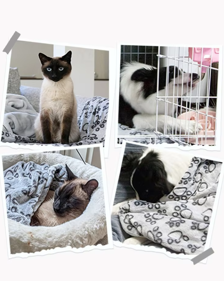 Hemtrevlig Hundfilt för Soffan – Mjuk Filt med Tassmönster