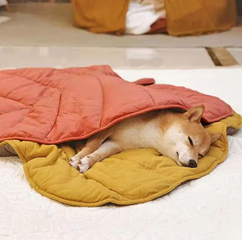 Dubbelriktad Underlägg