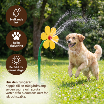 Roterande solrosbrunn för hundar