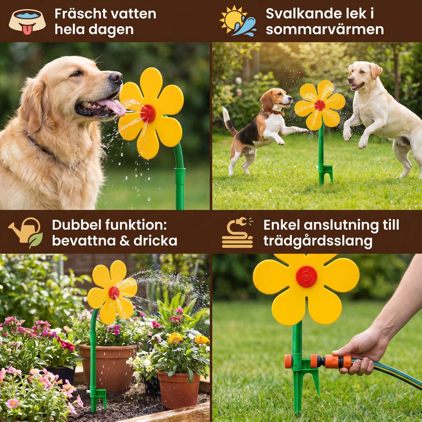 Roterande solrosbrunn för hundar