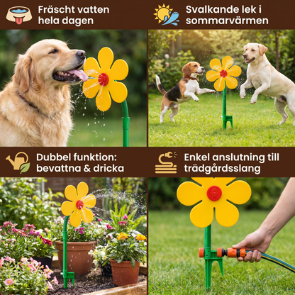 Roterande solrosbrunn för hundar