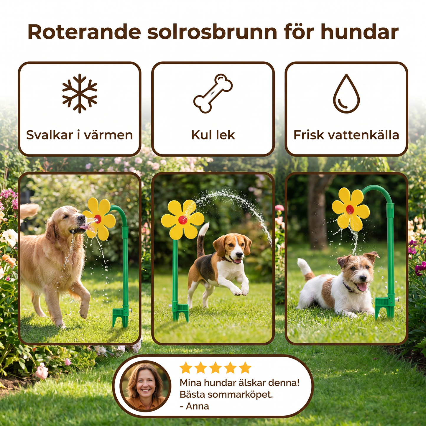 Roterande solrosbrunn för hundar