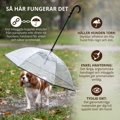 Genomskinligt hundparaply med koppel för små hundar