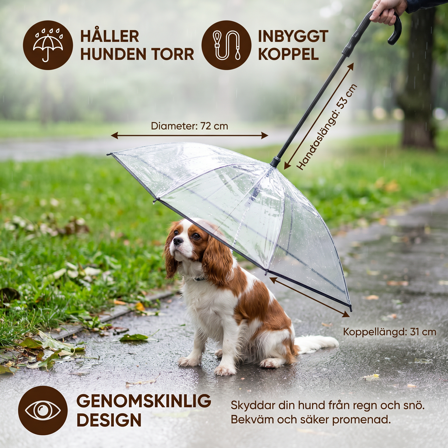 Genomskinligt hundparaply med koppel för små hundar