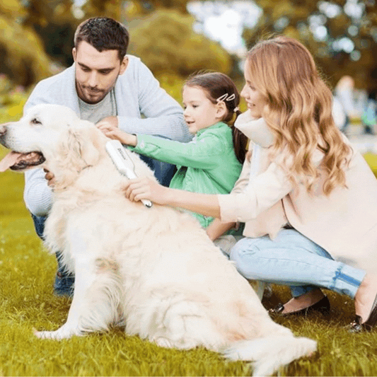 Elektrisk Massageborste För Husdjur Med USB-Uppladdningsfunktion Och Vårdfunktion