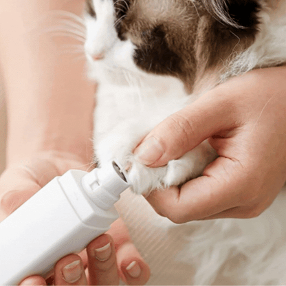 Digital Kloslip för Husdjur med LED-Display och Tyst Drift