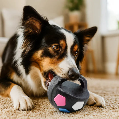 Robust leksaksboll för stressavlastning för hundar
