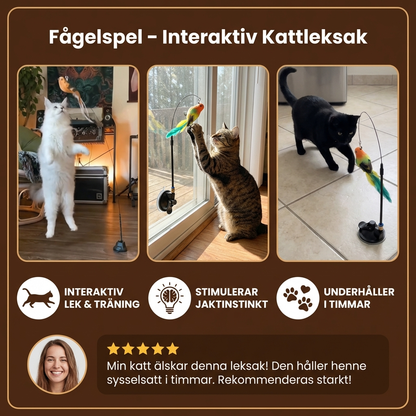 Fågelspel – Interaktiv Kattleksak