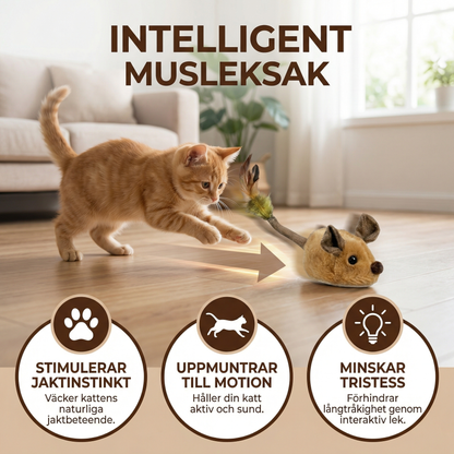 Intelligent musleksak