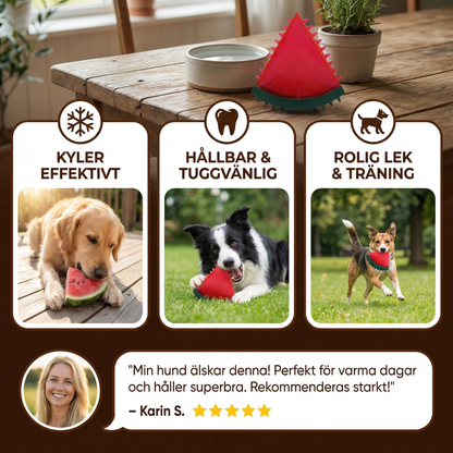 Kylande Hundtuggleksak i Fruktdesign
