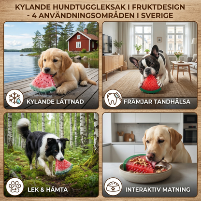 Kylande Hundtuggleksak i Fruktdesign