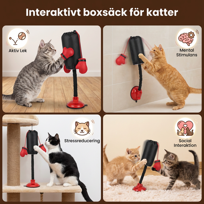 Interaktivt boxsäck för katter
