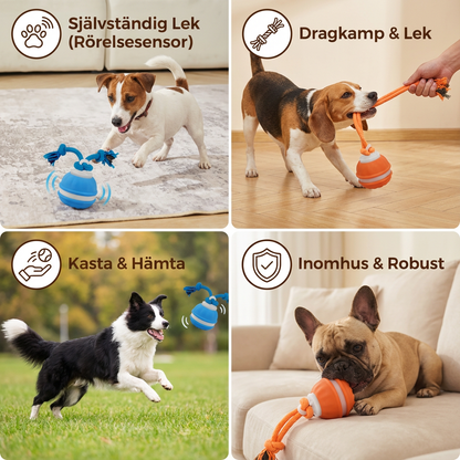 Robust hundboll med rörelsesensor och dragrep i hundvänliga färger