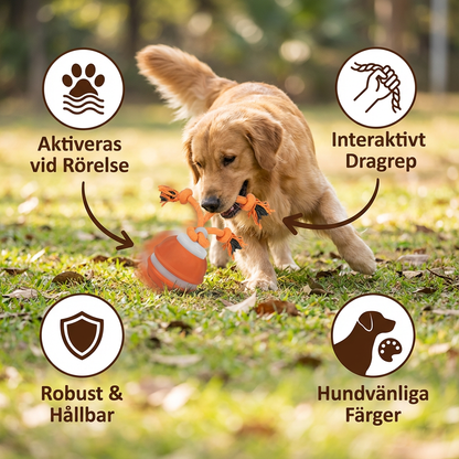 Robust hundboll med rörelsesensor och dragrep i hundvänliga färger