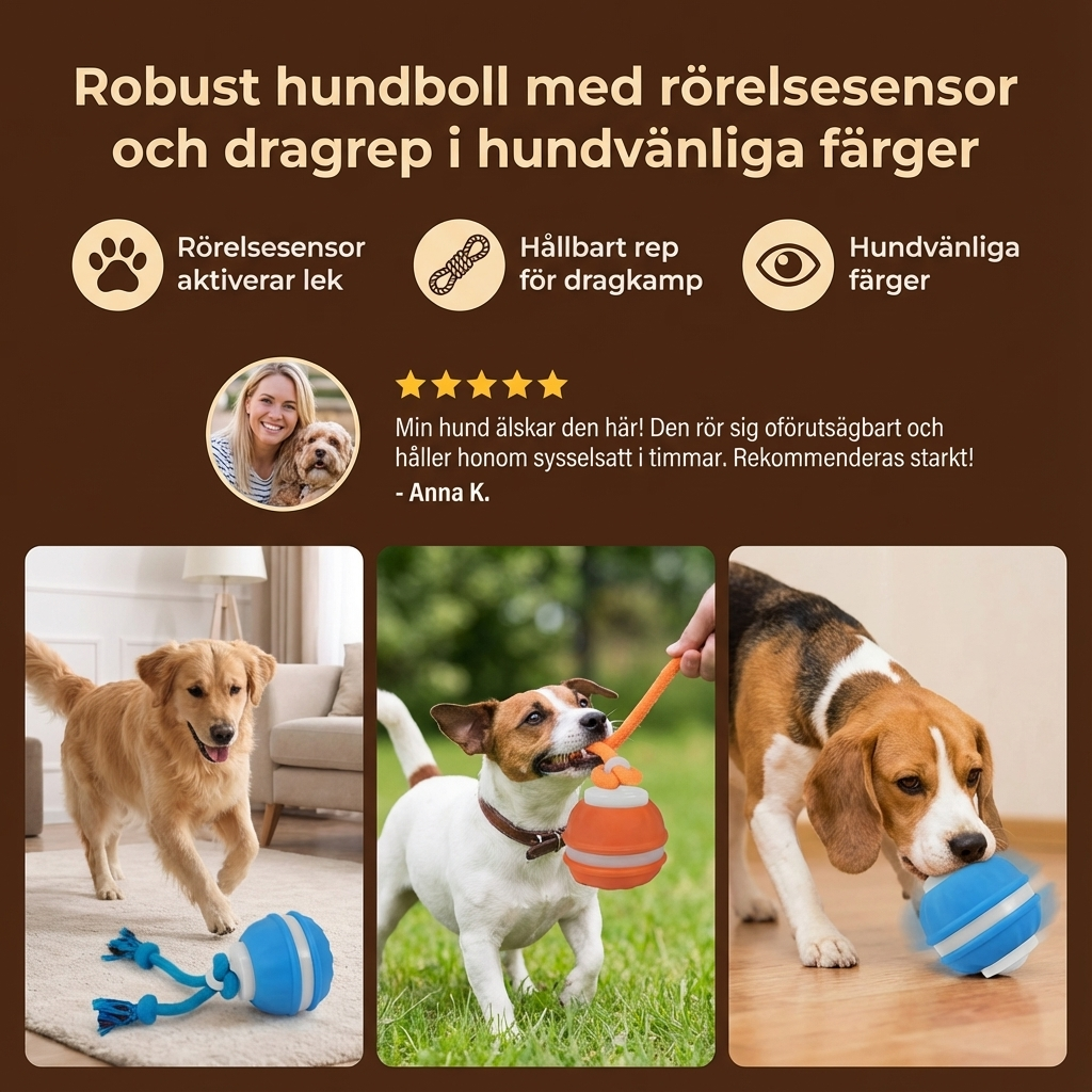 Robust hundboll med rörelsesensor och dragrep i hundvänliga färger