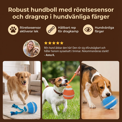 Robust hundboll med rörelsesensor och dragrep i hundvänliga färger