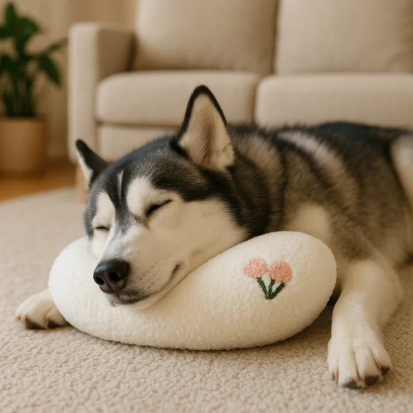 Robust Hundboll med Handtag