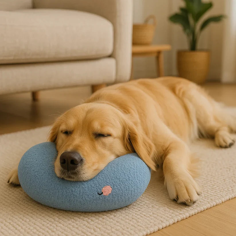 Robust Hundboll med Handtag