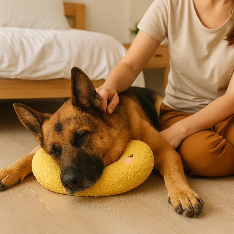 Robust Hundboll med Handtag