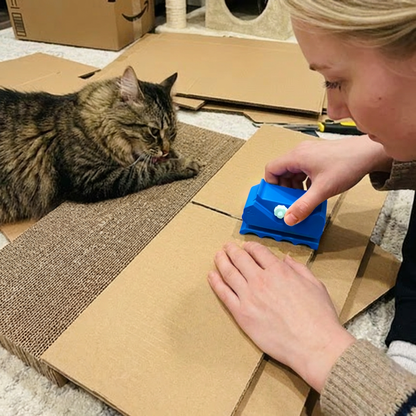 Gör-Det-Själv-Kit Med Klösbräda I Kartong För Katter