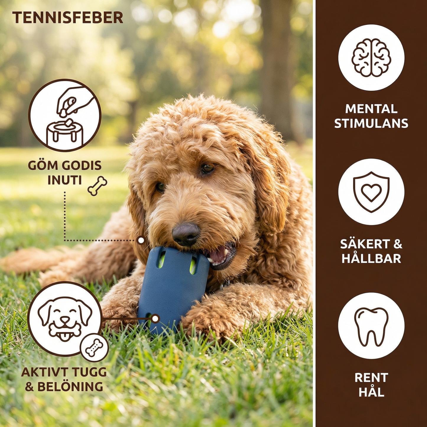 Tennisfeber